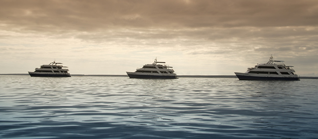 Eric, Letty, Flamingo I