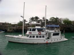 Golondrina in Puerta Ayora