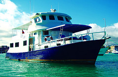 King of the Seas Tourist Class